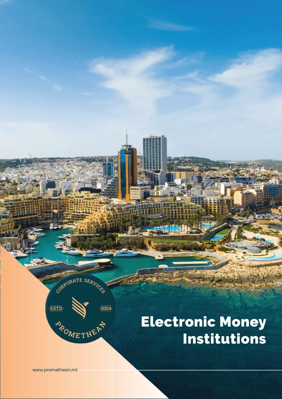 Electronic Money Institutions